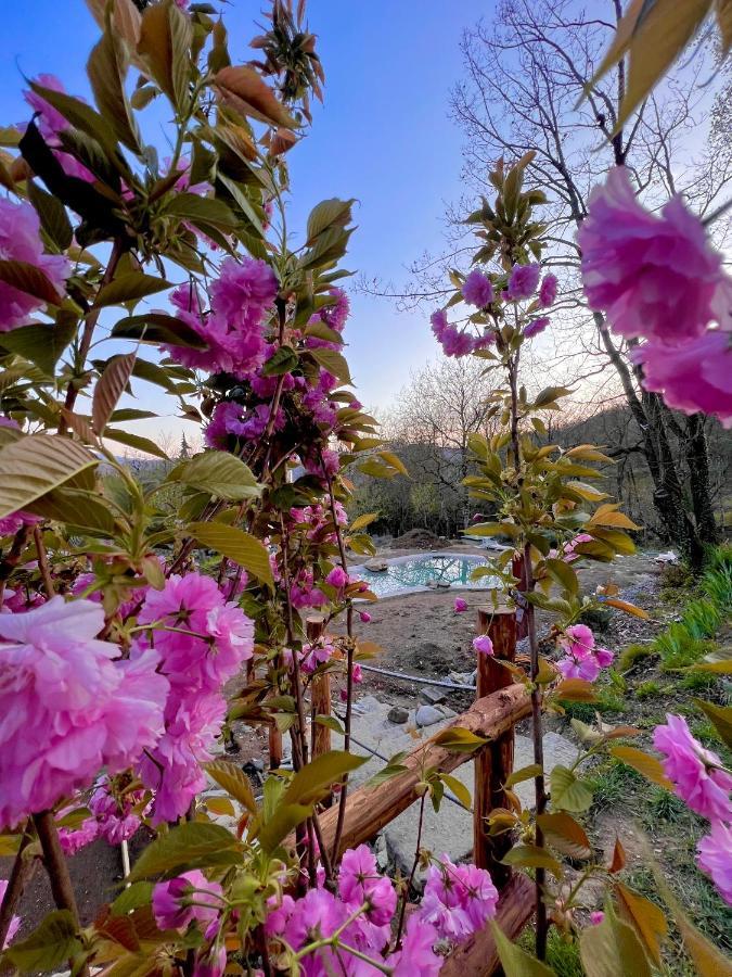 Agriturismo I Prati Di Venere Villa Sesta Godano Exterior foto